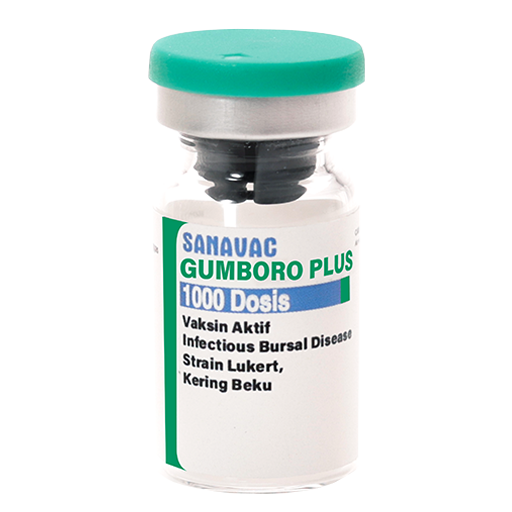 SANAVAC GUMBORO PLUS