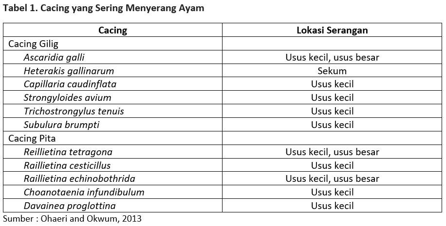 Tabel 1. Cacing yang Sering Menyerang Ayam